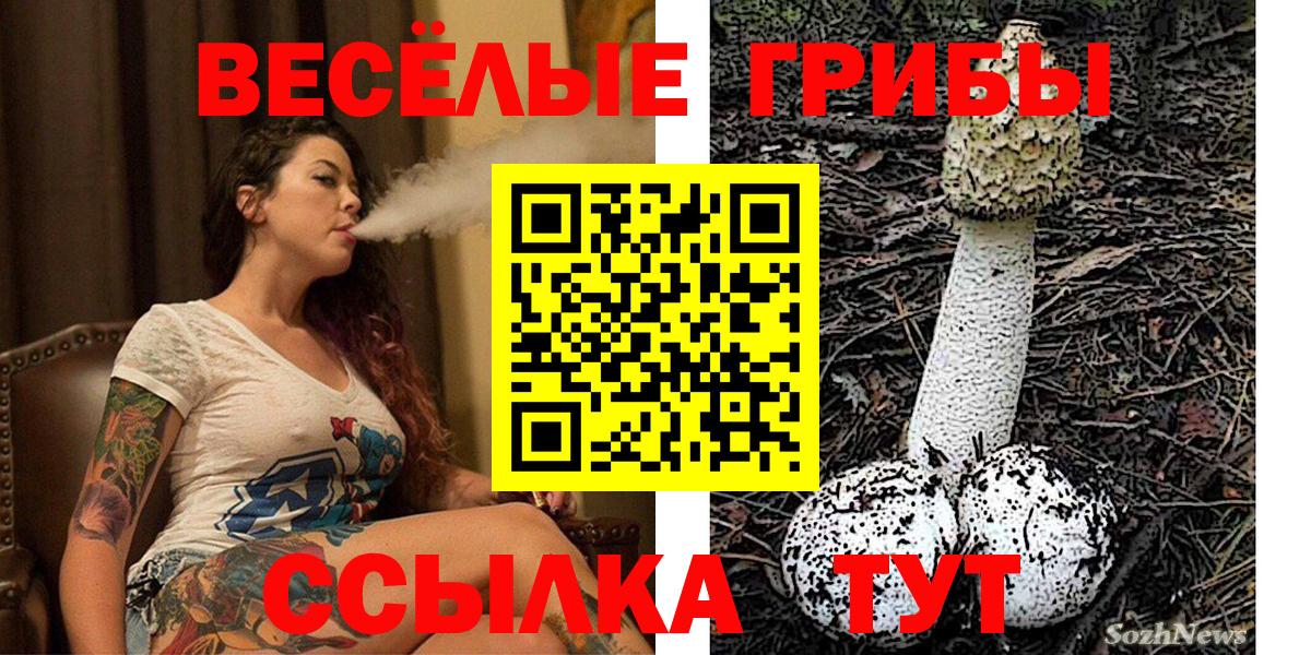 Свободный  даркнет сайт  Вход с VPN  Псилоцибиновые грибы Cubensis 