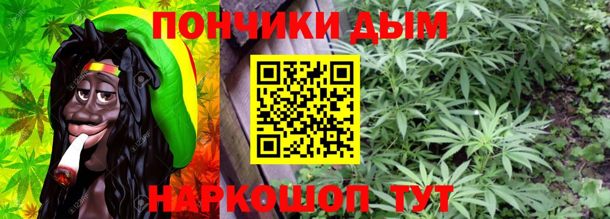 Конопля Bruce Banner Свободный